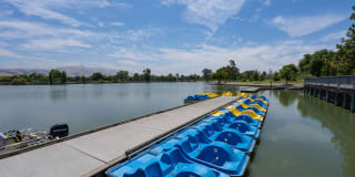 The Estates at Park Place Gallery 6