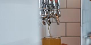 Novel Cary Gallery 58