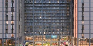 X Phoenix Gallery 10