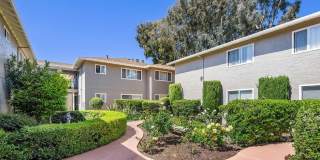 Park Terrace Gallery 6