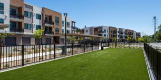 Sutter Green II Gallery 21
