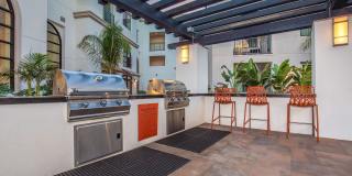 Vineyards Gallery 45