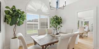 7 San Vincente Gallery 6