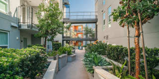 Mara Pacific Beach Apartments Gallery 3