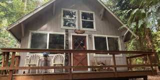 Cozy Cabin in Shore Woods Neighborhood Gallery 1