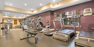 Woodmont Mews Apartments Gallery 13