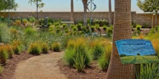 Homecoming At Terra Vista Gallery 21