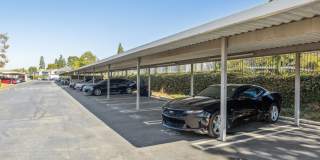 Portofino Townhomes Portofino Townhomes Gallery 19