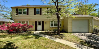 2911 TALLOW Gallery 1