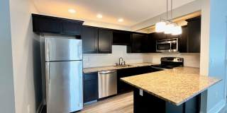 Carriage Pines Gallery 16