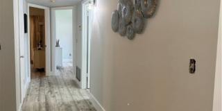 48 Woodland Drive Gallery 14