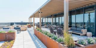 The Grand Gallery 14