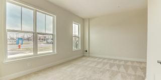 22589 AMENDOLA Terrace Gallery 29
