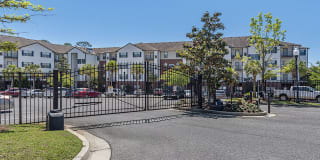 Retreat at Schillinger Gallery 5