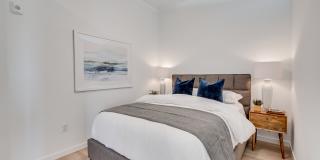 Linden Flats Gallery 17