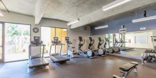 Carrington Gallery 10