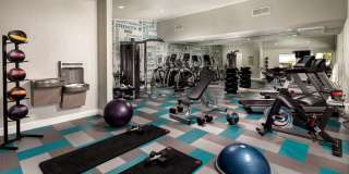 Cassia Apartments Gallery 4