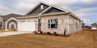 New Construction Home for Rent! Gallery 5