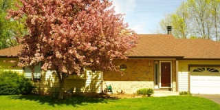 1649 Norwood Drive Gallery 1