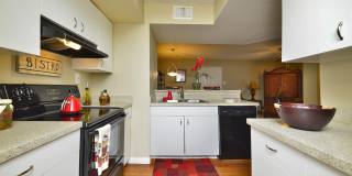 Palmetto Place Gallery 27