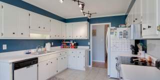 2515 Winterville Drive Gallery 12