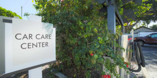 Palms of Clearwater Gallery 25