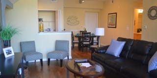 Springs at Palma Sola Gallery 9