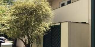 6718 Silvermine Drive Gallery 1