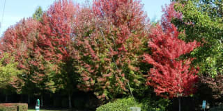 Springwater Trail Gallery 26