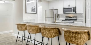 Coconut Palm Club Gallery 46