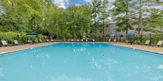 Renaissance Club Gallery 1