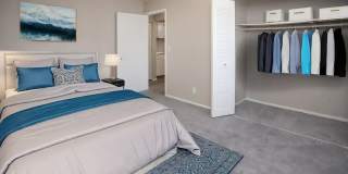 Marco Meadows Gallery 3