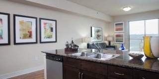 83 Rainey Street Gallery 5