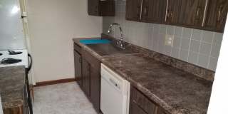 SPRINGBANK APARTMENTS Gallery 1