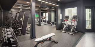 Apex Marathon Gallery 12