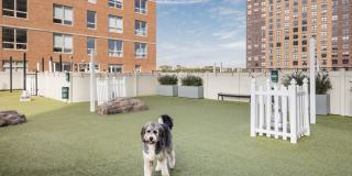 Soho Lofts Gallery 31