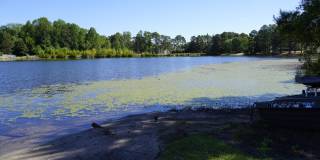 170 Russet Court Gallery 26