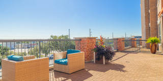 Domain at Kirby Gallery 68