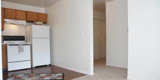 Hyde Park North Gallery 9