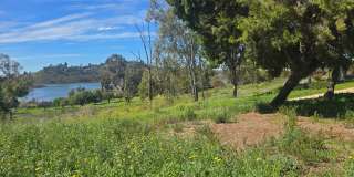 1 Bed 1 Bath Close to Lake Murray Gallery 25