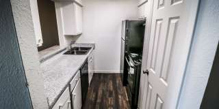 Spring Pine Gallery 29