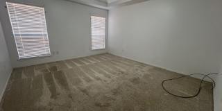 5317 WESTERN PLAINS Gallery 11