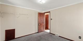 26 Alexander Street Gallery 15