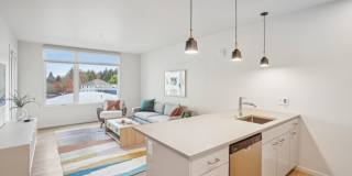 Splash Apartments Gallery 20