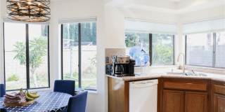 183 S Starflower Gallery 10