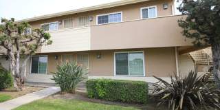 Newland Garden Gallery 7