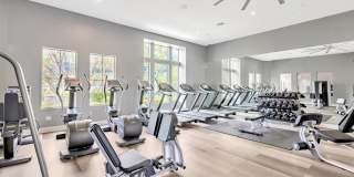 Palisades at Sierra Del Oro Gallery 10