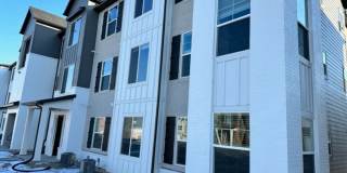Gorgeous Condo! Gallery 3