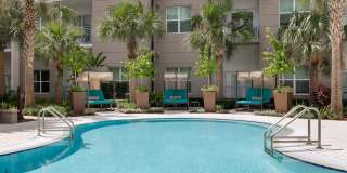 Juno Winter Park Gallery 29