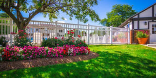 Maple Creek Gallery 3